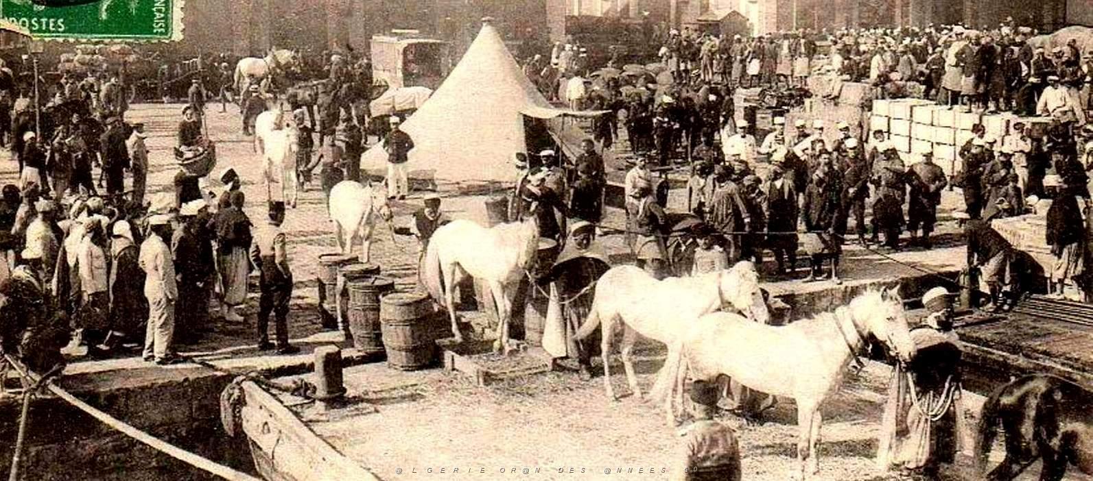 1101- Oran - Embarquement des Troupes pour le Maroc2.jpg